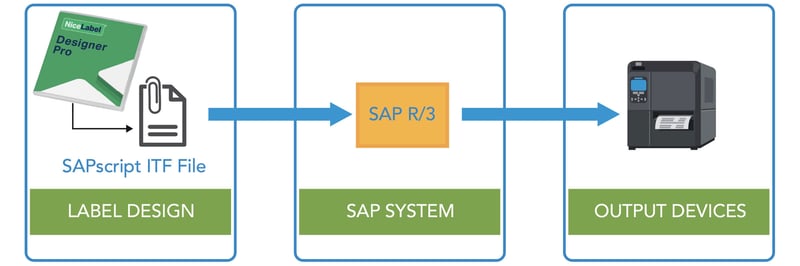 sap-1