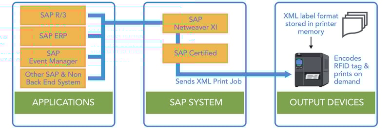 sap-3
