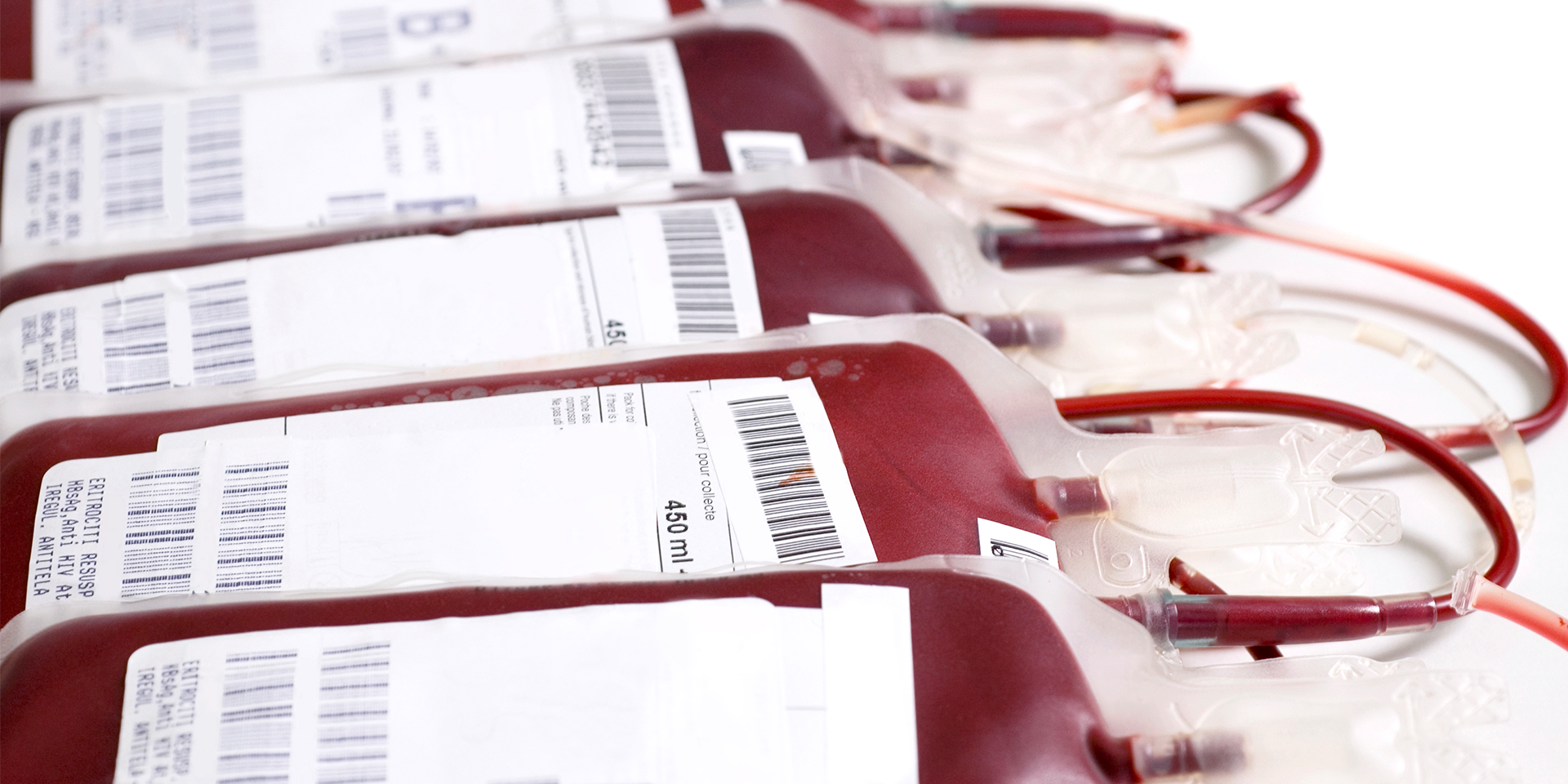 SATO returns to Blood 2025 & the 36th Regional Congress of the ISBT