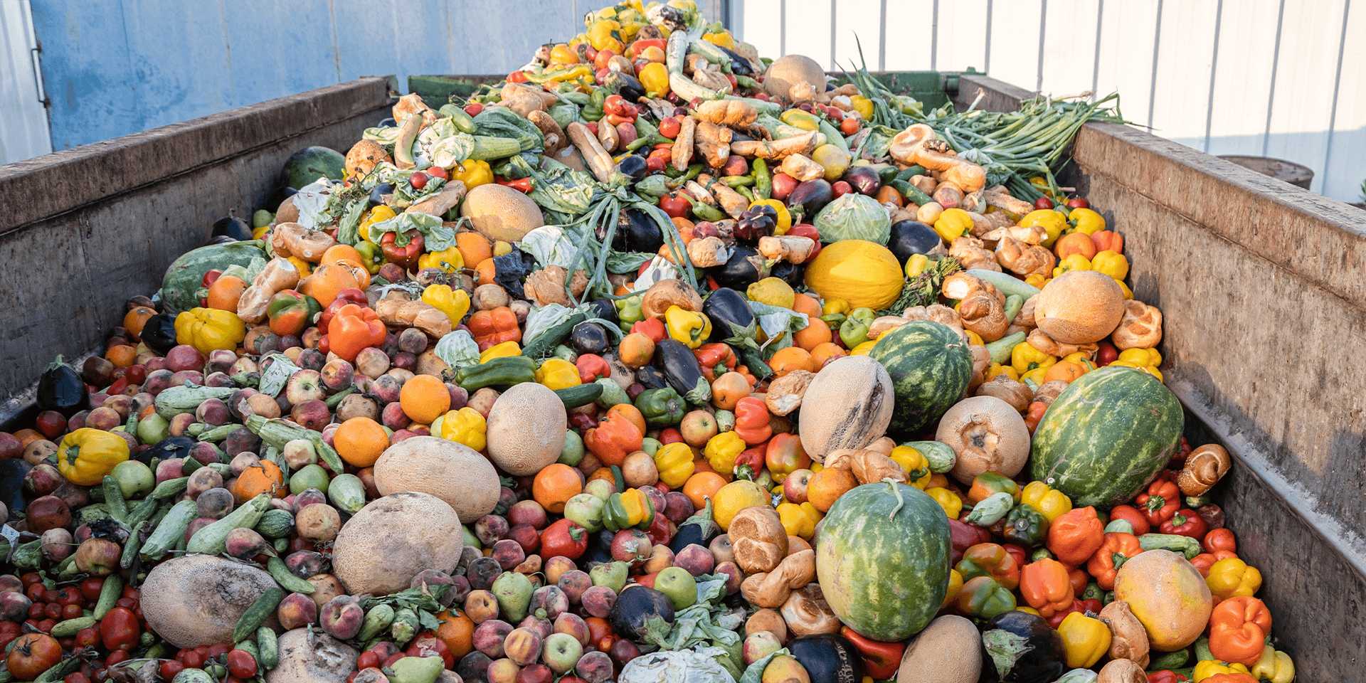 How Retailers can Minimise Food Waste in Australia and New Zealand